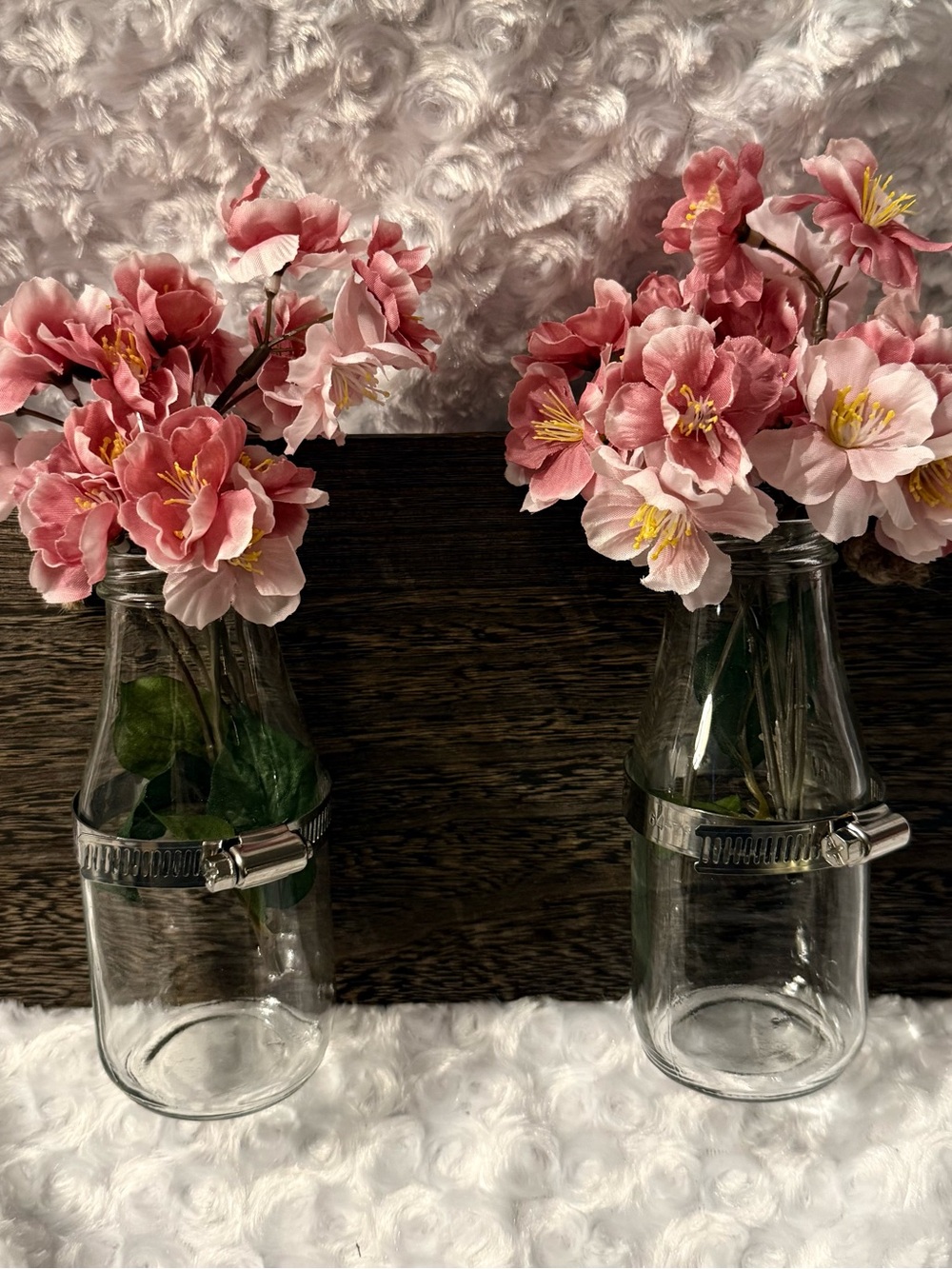 Rustic Dark Wood Wall Hanging Plant Propagation Station with Glass Jars